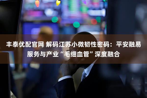 丰泰优配官网 解码江苏小微韧性密码：平安融易服务与产业“毛细血管”深度融合