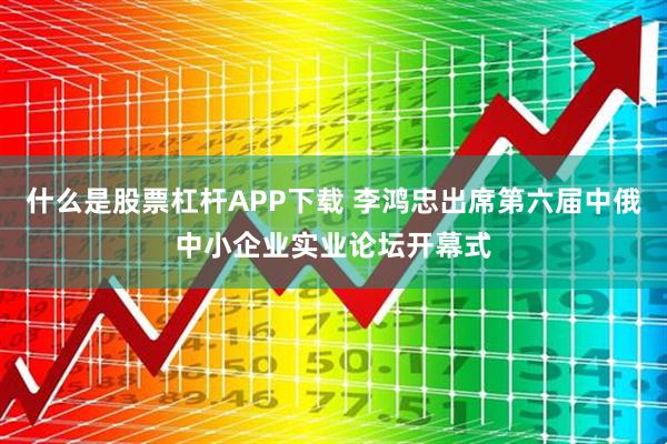 什么是股票杠杆APP下载 李鸿忠出席第六届中俄中小企业实业论坛开幕式
