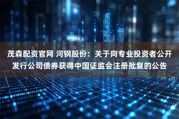 茂森配资官网 河钢股份：关于向专业投资者公开发行公司债券获得中国证监会注册批复的公告